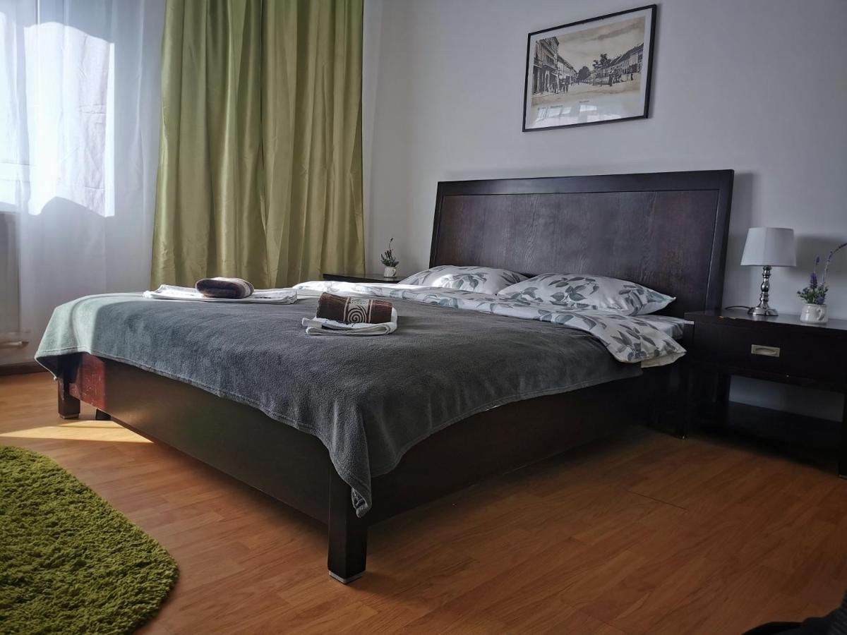 Casa De Oaspeti Wallendorf Bistrita Unirea 외부 사진