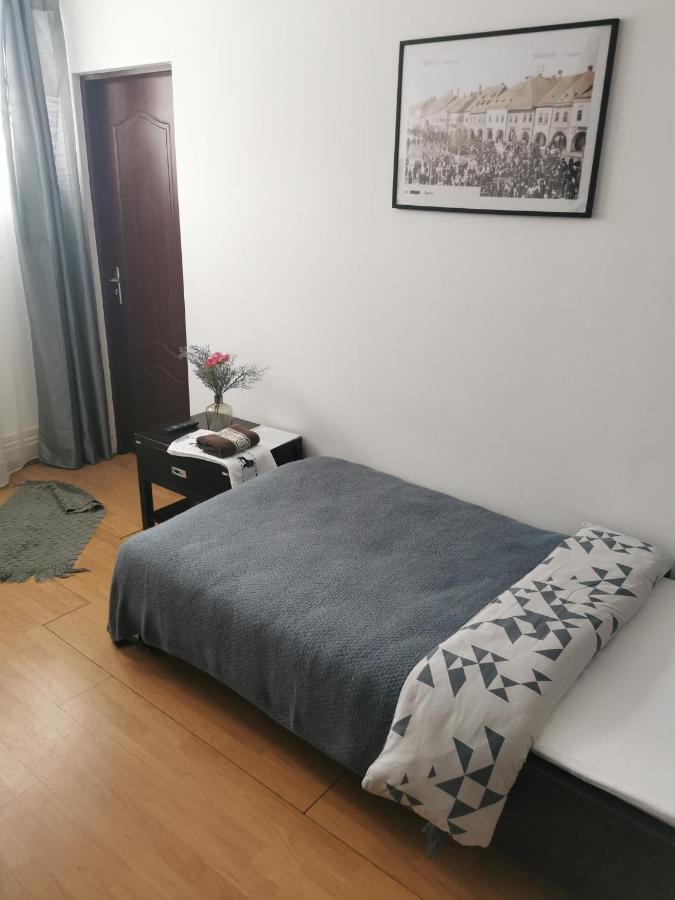 Casa De Oaspeti Wallendorf Bistrita Unirea 외부 사진