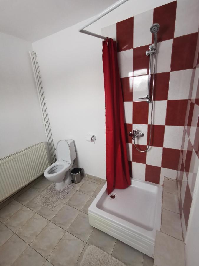 Casa De Oaspeti Wallendorf Bistrita Unirea 외부 사진